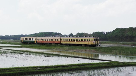 ひたちなか鉄道 中根付近