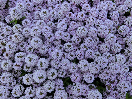 20150430_152428