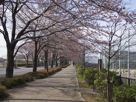 大沢グランド前