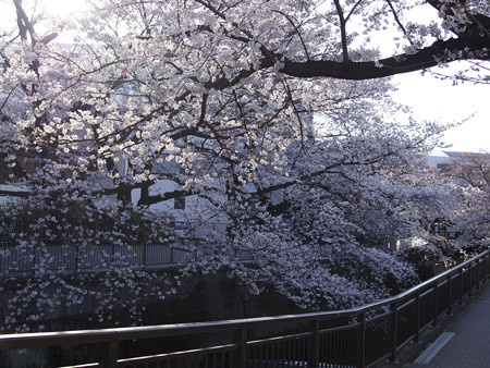 東宝撮影所(3)