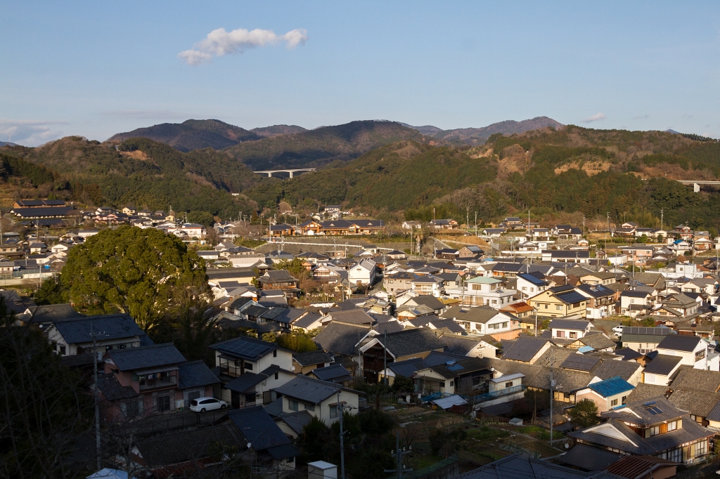 IMG_9659 写真: IMG_9659