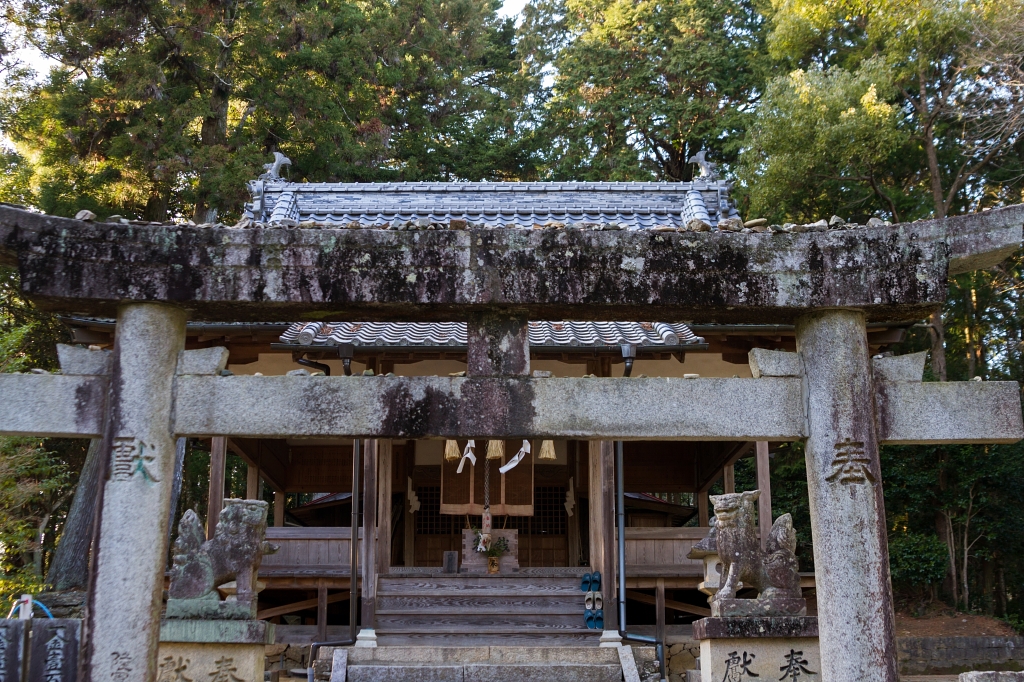 IMG_9671 写真: IMG_9671