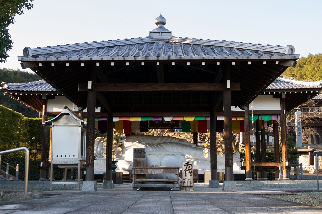 IMG_9694 写真: IMG_9694