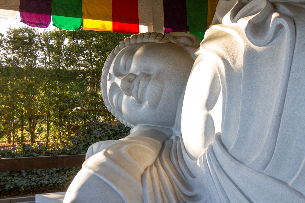 IMG_9709 写真: IMG_9709