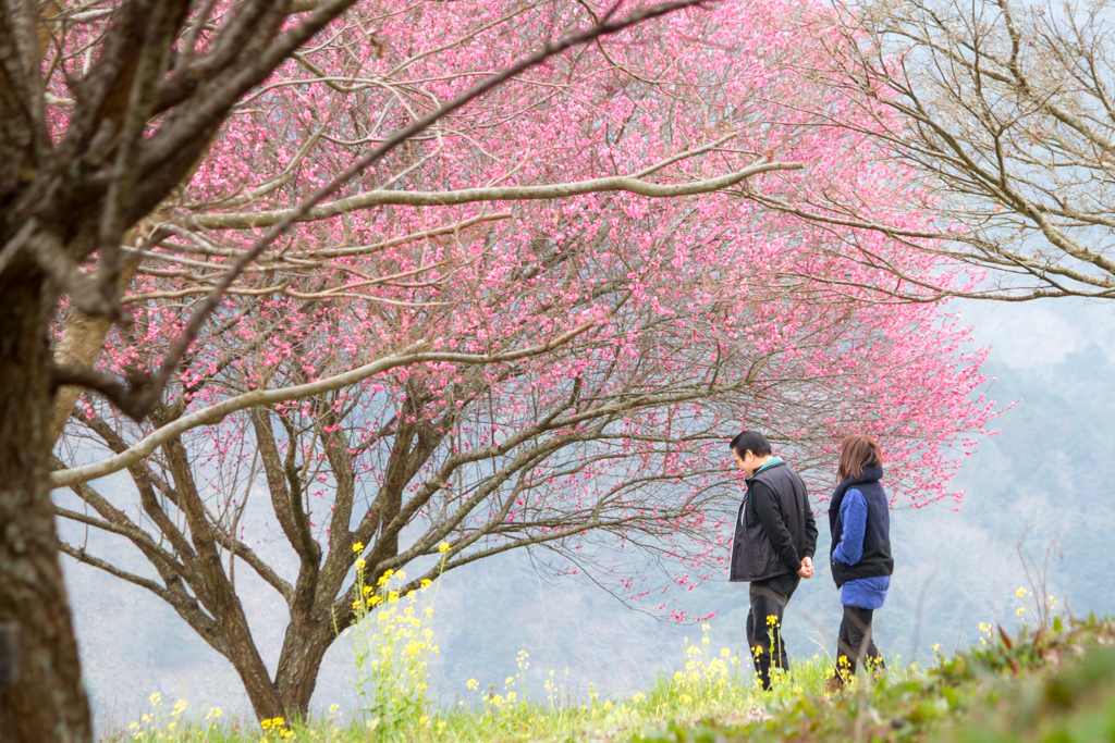 写真: IMG_2503
