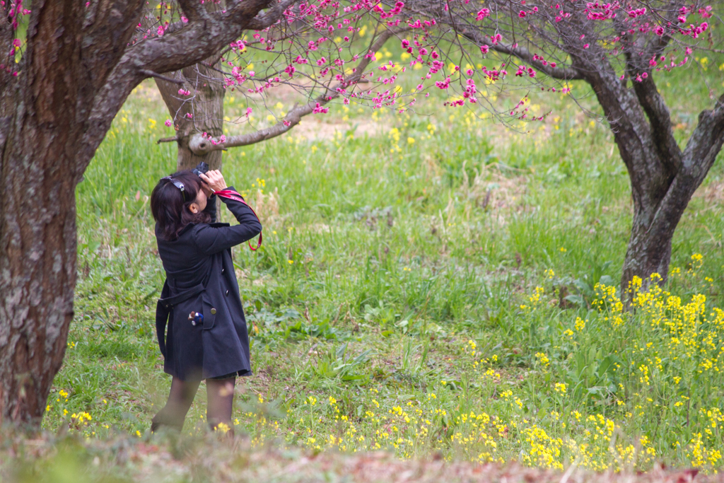 写真: IMG_2821
