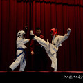 Photos: _DSC0259-2