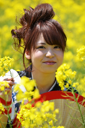 2015菜の花娘b 「笑み」