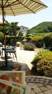 Lake side garden