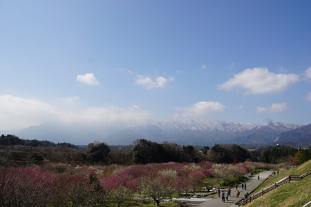 DSC00687