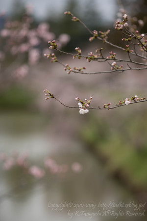 まだまだ