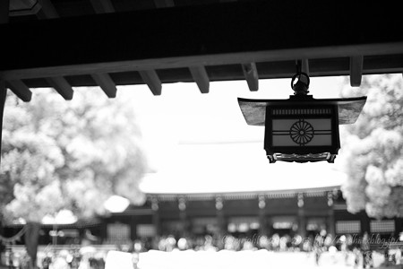 明治神宮