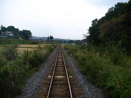 烏山線の車窓(小塙→滝)6