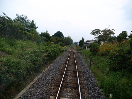 烏山線の車窓(滝→烏山)21