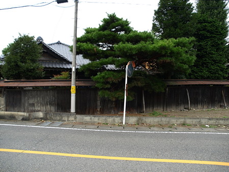 那珂川界隈3