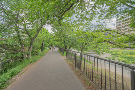 #3 芥川桜堤公園