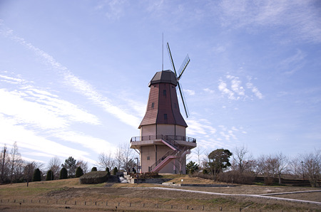 IMGP4862