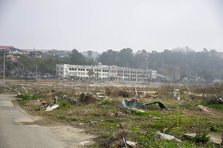 IMGP7184
