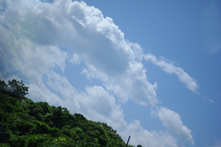 IMGP0487