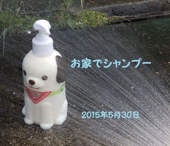 5月30日
