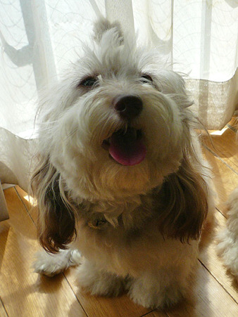 110907_miracle