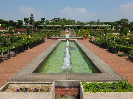 yatsurosegarden06