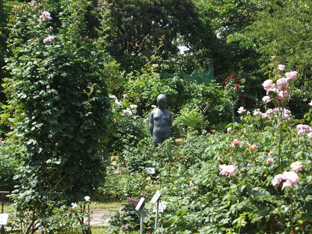 yatsurosegarden12