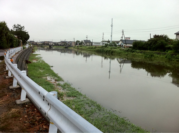 新井郷川がとんでもない事になってる 川の水溢れてるよ 写真共有サイト フォト蔵