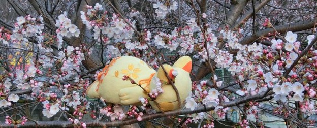 にゃん」太