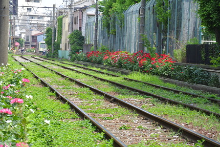 もうすぐ終着駅