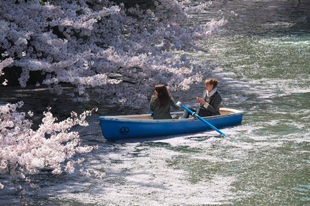 2015.04.02　千鳥ヶ淵　さくらボート