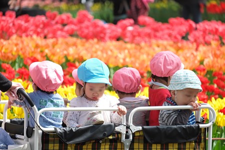 2015.04.06　横浜公園　チューリップ散歩