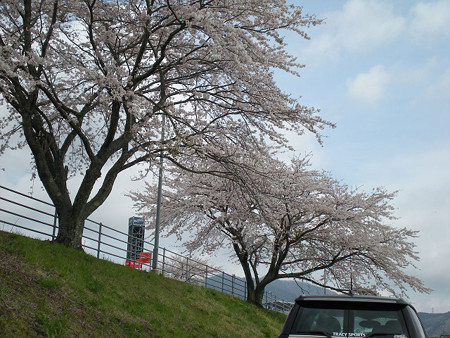 resize0057
