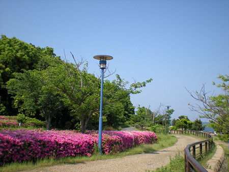 resize0083