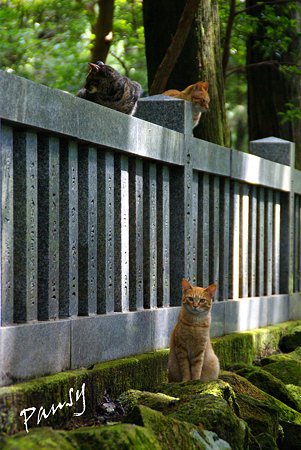 箱根にて・・5