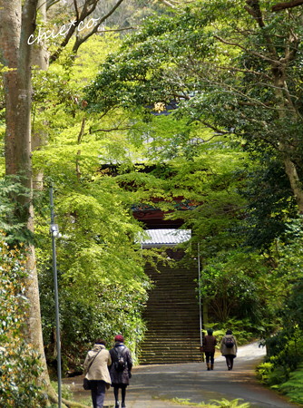 鎌倉-174