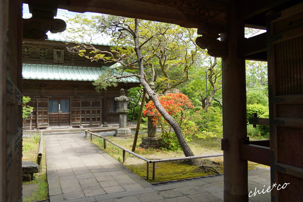 鎌倉 英勝寺-289