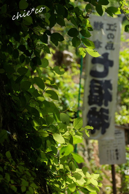 DSC02172-001