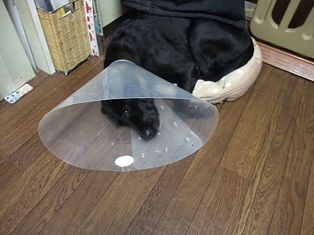 結局はみ出してるんだけどね・・・