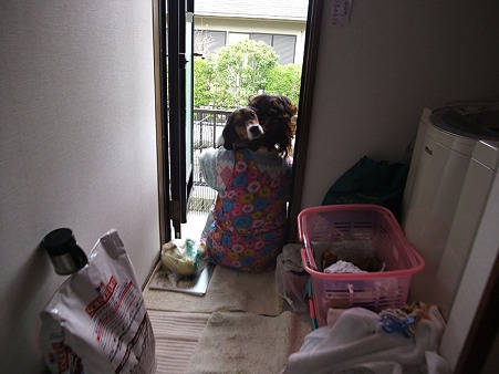 足拭き中