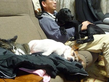 リリィとお父さん