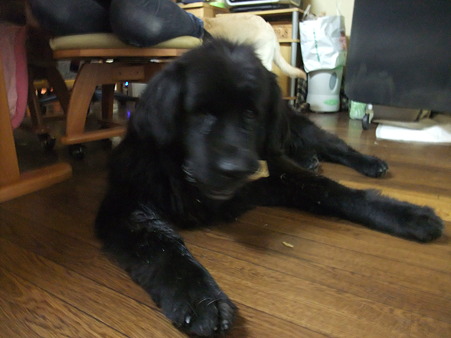 右腕べったべた・・・