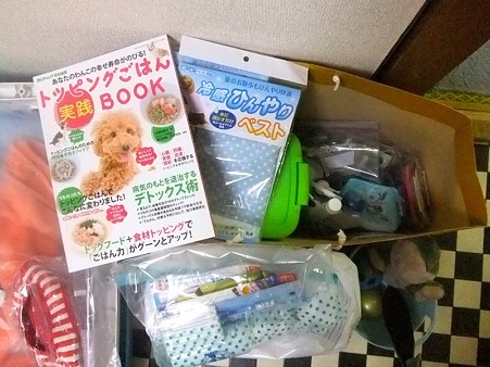 とにかくセスの為に用意してくれた数々の品