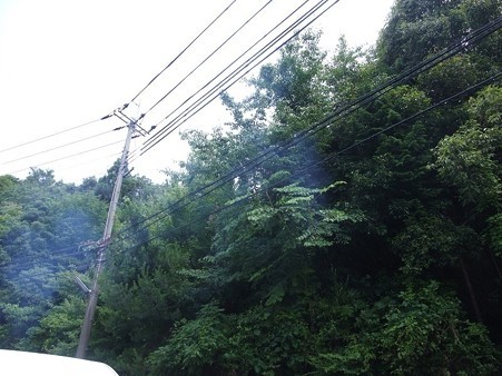 空に昇ってくヴィガ
