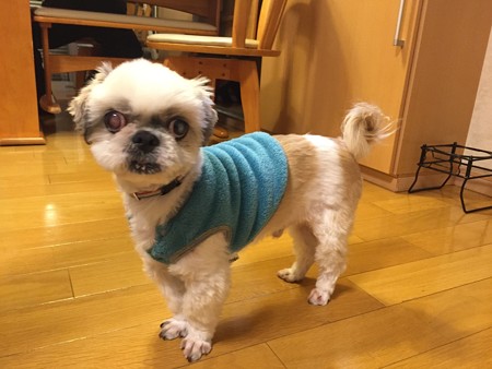 一歩ちん