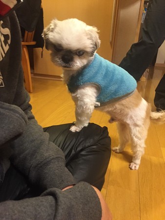 ちょっと膝いいですか~?
