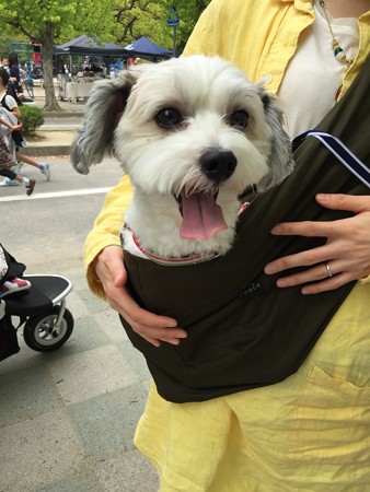テト!