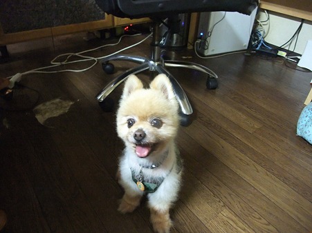 かんちゃんいつ見ても