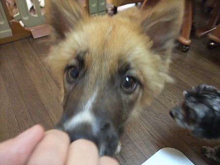 目が渋い!