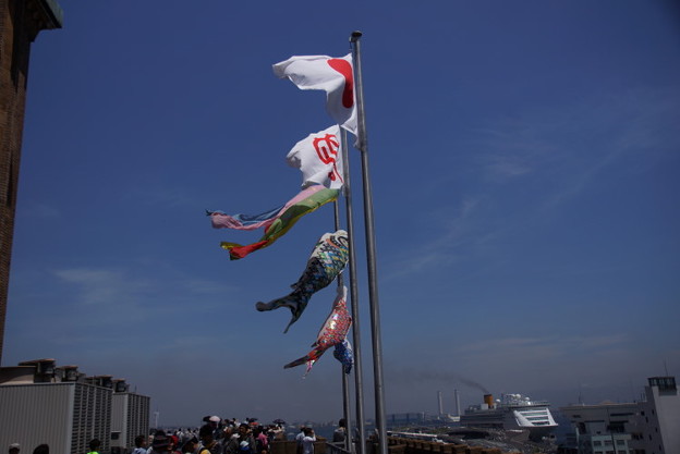 DSC025945